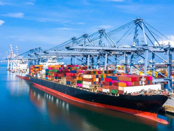 Ocean Freight Services